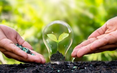 Fertilizantes orgánicos: clave para una agricultura sostenible