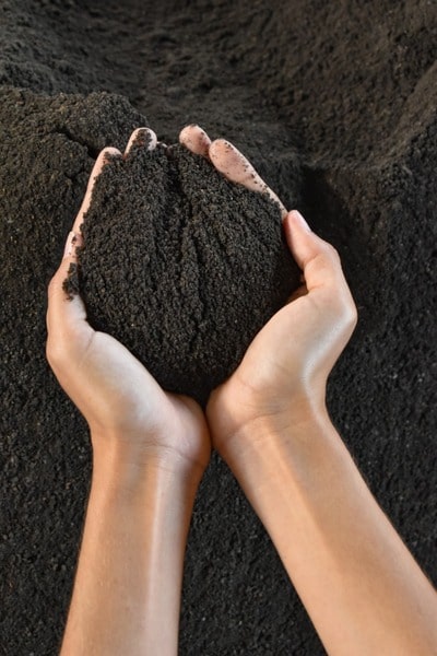 Transforma tu cultivo