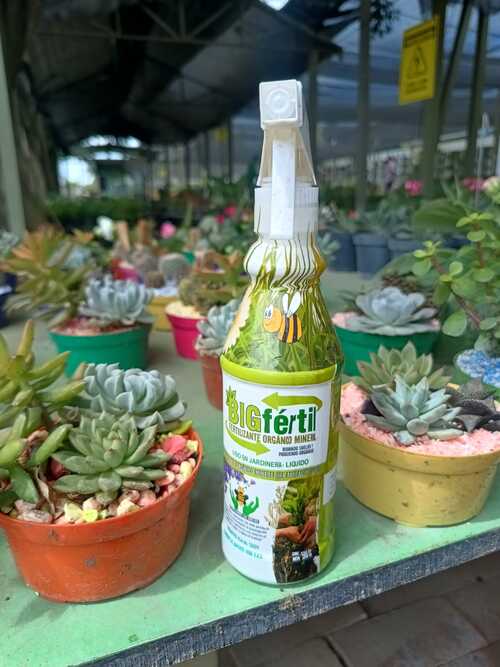 Organic garden fertilizer Organic garden fertilizer